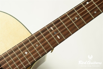 F120-GA Sitka Spruce / African Mahogany